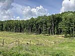 IMG_5311(1)