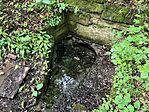 IMG_5313(1)