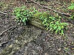 IMG_5315(1)