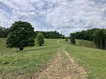 IMG_5324(1)