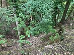 IMG_5327(1)
