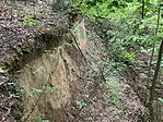 IMG_5328(1)