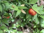IMG_5329(1)