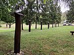 IMG_5345(1)