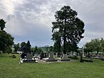 IMG_5420(1)