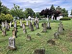 IMG_5423(1)