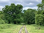 IMG_5446(1)