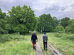 IMG_5449(1)