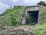 IMG_5461(1)