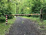 IMG_5465(1)