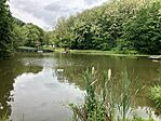 IMG_5467(1)