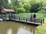 IMG_5469(1)