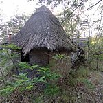 IMG_20260511_183226
