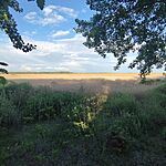 IMG_20260511_183719