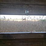 IMG_20260511_184331