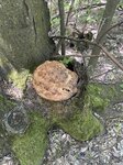 log-image-1779622737117-0