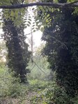 log-image-1779646434000-0