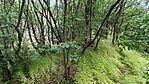 IMG_20260509_123352