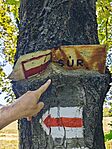 IMG_20260524_142234