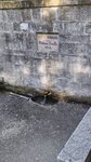 log-image-1779723632360-0