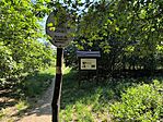 IMG_20260524_094739
