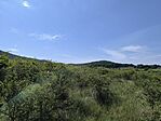 IMG_20260524_095021
