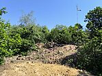 IMG_20260524_101115