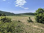 IMG_20260524_101920