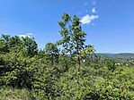 IMG_20260524_104501