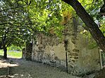 IMG_20260524_110734