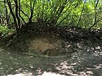 IMG_20260524_112359