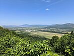 IMG_20260524_115854