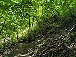 IMG_20260524_121823