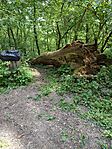 IMG_20260501_105101