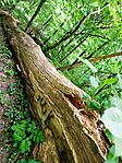 IMG_20260501_100801