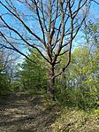 IMG_20260425_172209