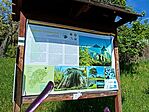 IMG_20260425_155002
