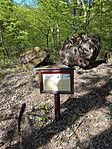 IMG_20260425_144739