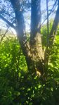 IMG_20260524_151955