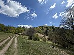 IMG_0752