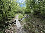 IMG_0826
