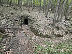 IMG_0841