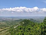 IMG_20260519_113553