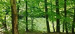 IMG_20260504_133358