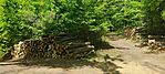 IMG_20260504_133408