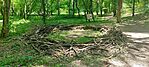 IMG_20260509_132008