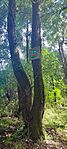 IMG_20260512_151106