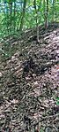 IMG_20260514_120458