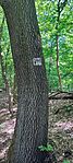 IMG_20260514_115342