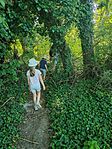 IMG_20260524_164909